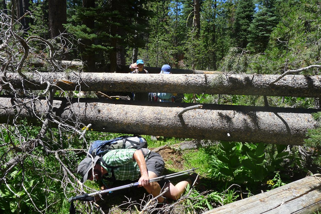 YosemiteCreek 008